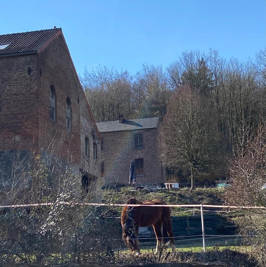 Andenne Le Ranch Des Aguesses 빌라 외부 사진
