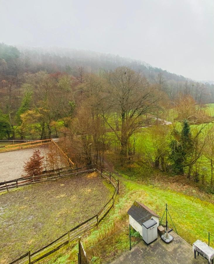 Andenne Le Ranch Des Aguesses 빌라 외부 사진