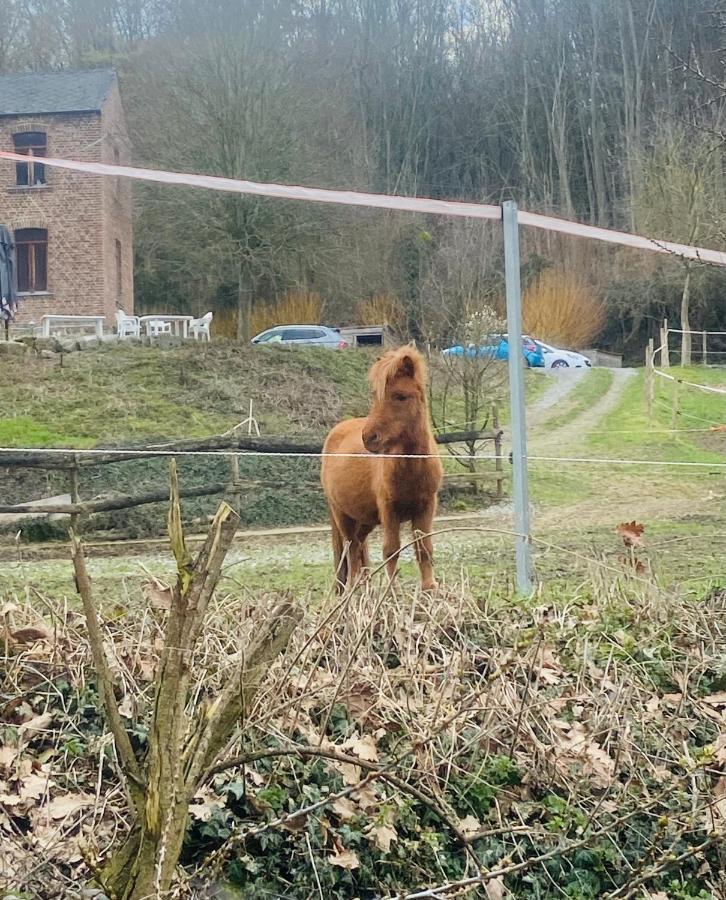 Andenne Le Ranch Des Aguesses 빌라 외부 사진